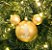 Bola Mickey Listras Branco e Ouro 8cm - 04 unidades - Natal Disney - Cromus - Rizzo Embalagens - Imagem 3