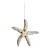 Enfeite para Pendurar Estrela do Mar 20cm Seychelles - 06 unidades - Cromus Natal - Rizzo Embalagens - Imagem 1