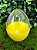 Caixa com 10 Mini Ovos de Plástico Amarelo e Transparente - Rizzo Embalagens - Imagem 2