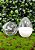 Caixa com 10 Mini Ovos de Plástico Branco e Transparente - Rizzo Embalagens - Imagem 3
