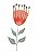 Estampa para Moldura - Flor Vermelha - 01 unidade - Rizzo Embalagens e Festas - Imagem 1