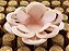 Forminha para Doces Floral Loá Colorset Rose - 40 unidades - Decorart - Rizzo Embalagens - Imagem 1