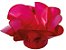 Forminha para Doces Finos - Copo de Leite Pink 30 unidades - Decora Doces - Rizzo Festas - Imagem 1