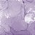 Confete Redondo 25g - Lilás Dupla Face - Rizzo Embalagens - Imagem 2