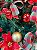 Kit Decoração Xadrez para Árvore de Natal 120cm - 01 unidade - Cromus Natal - Rizzo Embalagens - Imagem 2
