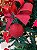 Kit Decoração Vermelho para Árvore de Natal 120cm - 01 unidade - Cromus Natal - Rizzo Embalagens - Imagem 5