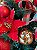 Kit Decoração Xadrez para Árvore de Natal 1,8 metros - 01 unidade - Cromus Natal - Rizzo Embalagens - Imagem 5