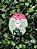 Aplique Coelho Redondo 1 c/ Furo em MDF Glitter - Sonho Fino Rizzo Confeitaria - Imagem 1