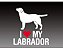 Adesivo Cachorro Labrador - Imagem 2