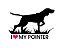 Adesivo Pointer - Imagem 1