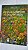Brincar e Aprender Com A Natureza - Joseph Cordell - Imagem 1