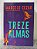 Treze Almas - Marcelo Cezar - Imagem 1