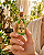 Perfume Poção da Fortuna – Exale Prosperidade e Sucesso 15ML - Imagem 2