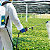 PULVERIZADOR 15L COSTAL S/BAT/CAR MAKITA - Imagem 2