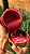Esfoliante - Cleansing Scrub - Imagem 4