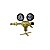 Regulador de Nitrogênio Alta Pressão - Friven - Imagem 2