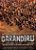 DVD - Carandiru ( DVD DUPLO ) - Imagem 1