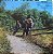 LP - CREEDENCE CLEARWATER REVIVAL - GREEN RIVER (Novo - Lacrado - IMPORTADO) - Imagem 2