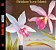 CD - Deodato – Love Island (Novo - Lacrado) (Digipack) - Imagem 1