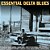 CD – Essential Delta Blues - Vários Artistas (Importado Europa) (Duplo) - Imagem 1