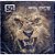 CD - 50 Cent – Animal Ambition (An Untamed Desire To Win) - Lacrado - Imagem 1