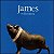 CD - James – Millionaires - Imagem 1