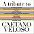CD A Tribute To Caetano Veloso ( Vários Artistas ) - Imagem 1