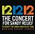 CD Duplo 12 12 12 The Concert For Sandy Relief -Vários Artistas - Imagem 1