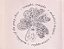 CD - The Smashing Pumpkins – Tonight, Tonight ( IMP - USA ) - Imagem 3
