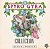 CD - Spyro Gyra – Collection ( IMP - USA ) - Imagem 1