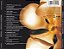 CD - Madonna – Something To Remember (Imp. U.S.A) - Imagem 2