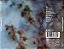 CD - Alpha – The Impossible Thrill ( IMP ) - Imagem 2