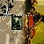 CD - Joe Henderson – Double Rainbow - The Music Of Carlos Jobim - Imagem 1
