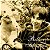 CD  -Belle & Sebastian – Dog On Wheels (Importado) - Imagem 1