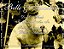 CD  -Belle & Sebastian – Dog On Wheels (Importado) - Imagem 2