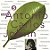 CD - Antônio Carlos Jobim Songbook vol 5 (Vários Artistas) - Imagem 1