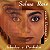 CD - Selma Reis – Canta Gonzaga Jr. : Achados E Perdidos - Imagem 1