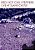 DVD - RED HOT CHILI PEPPERS: LIVE AT SLANE CASTLE - Imagem 1