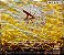 CD - The Mission – Carved In Sand - Imagem 2
