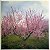 CD- Washed Out – Within And Without ( Digipack ) - Imagem 2