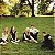 CD - The 5 Browns – The 5 Browns - Imagem 2