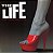 CD - The Life: The New Musical (Original Broadway Cast Recording) ( Cy Coleman ) - Importado - Imagem 1