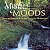CD - Various ‎– Mystic Moods(Over An Hour Of Relaxing Music For Meditation) - IMP - Imagem 1