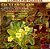 CD - Strictly For The Birds ( Yehudi Menuhin And Stéphane Grappelli Arranged And Conducted By Max Harris ) (Importado ) - Imagem 1
