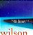 CD - Brian Wilson ‎– Imagination - IMP - Imagem 1
