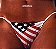 The Black Crowes ‎– Amorica. - Imagem 1