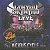 CD - Lynyrd Skynyrd ‎– Lyve-The Vicious Cycle Tour - CD Duplo - Imagem 1