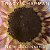CD - Tracy Chapman ‎– New Beginning - Imagem 1