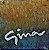 LP - Gina (Novela Globo) (Vários Artistas) - Imagem 1