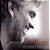 CD - Andrea Bocelli ‎– Amore - Novo (Lacrado) - Imagem 1